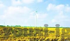 足球500t比分-足球500T比分，数据浪潮下的足球盛宴与深度解析
